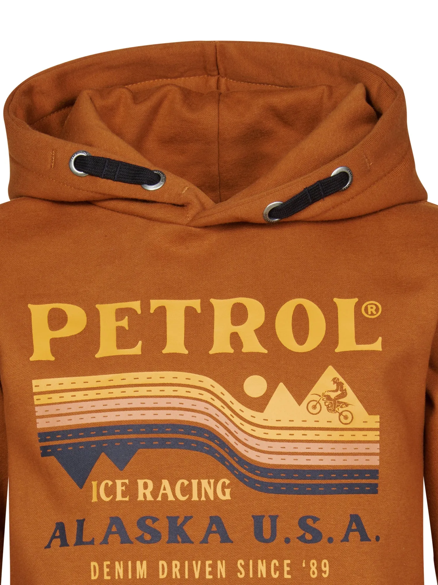 Artwork Hoodie Craig