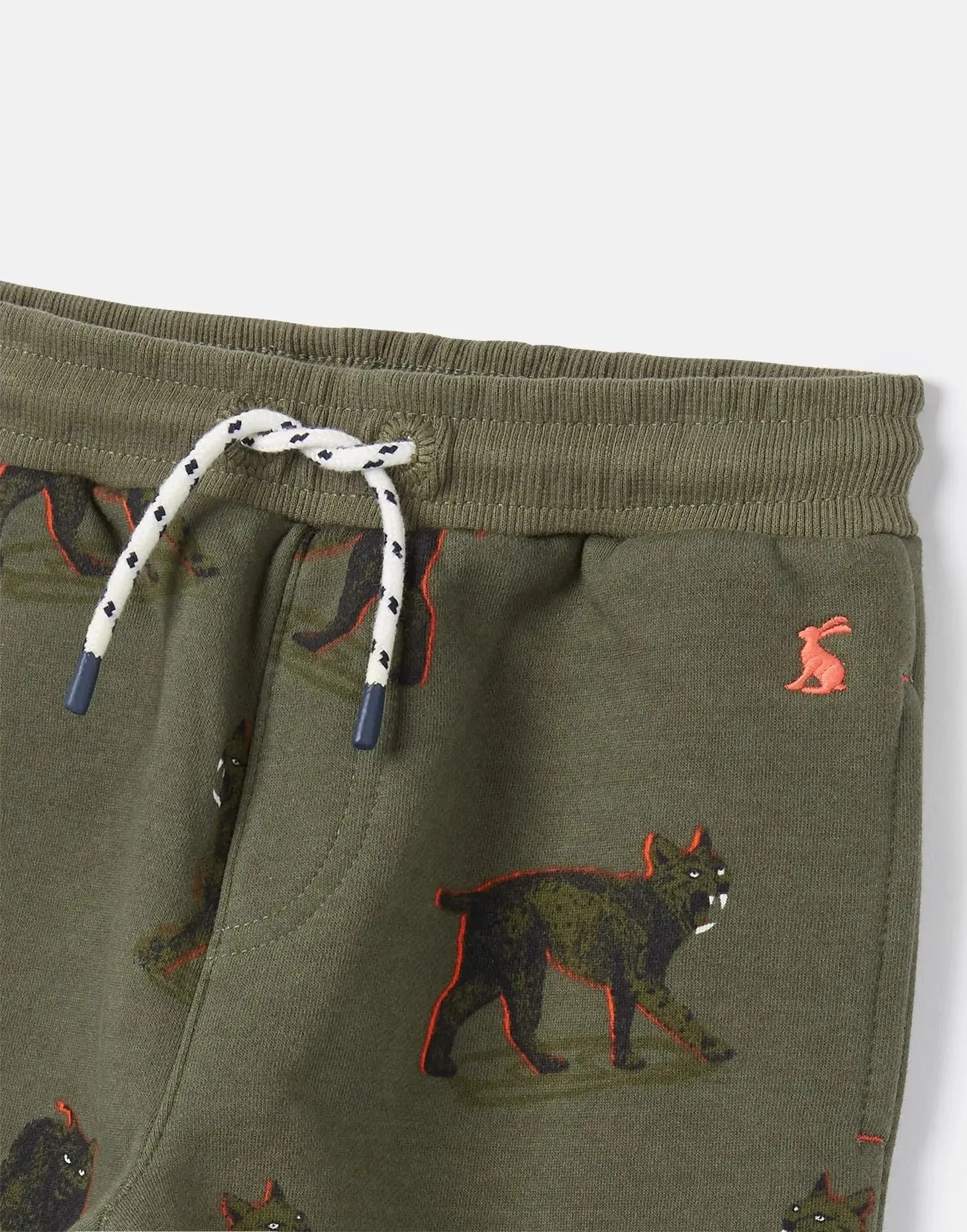 Boys' Champion Novelty Joggers | Joules