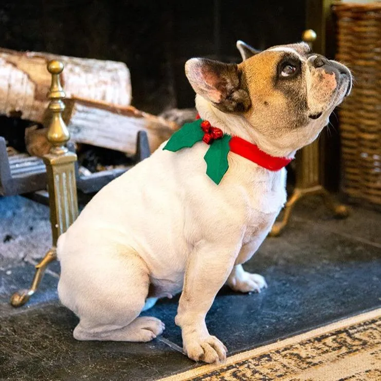 Christmas Holly Dog Dress Up