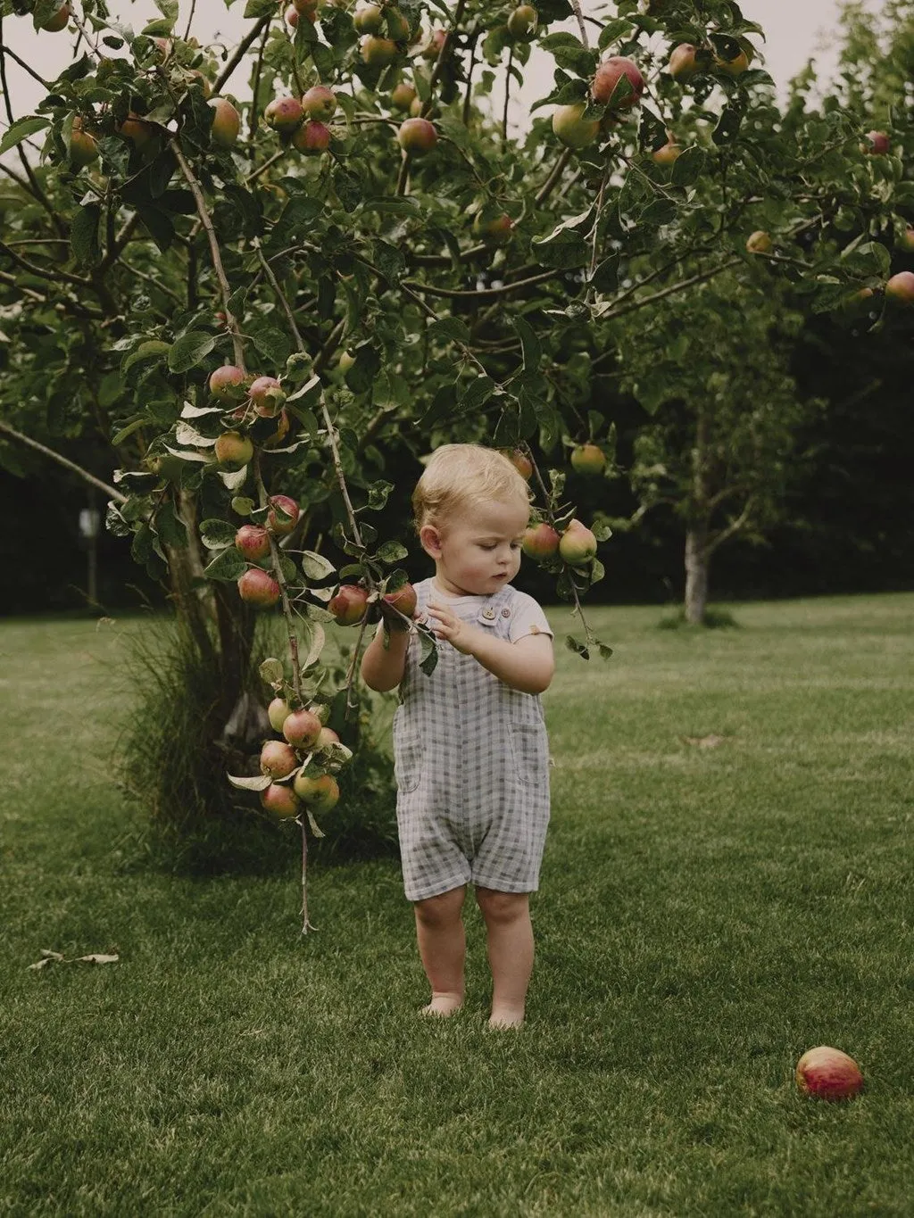 Lil' Atelier Baby JOEY SHORT LOOSE OVERALL - Bleached Sand