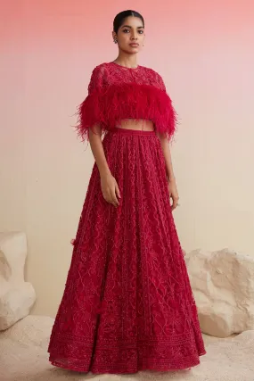 Pero In Fuchsia