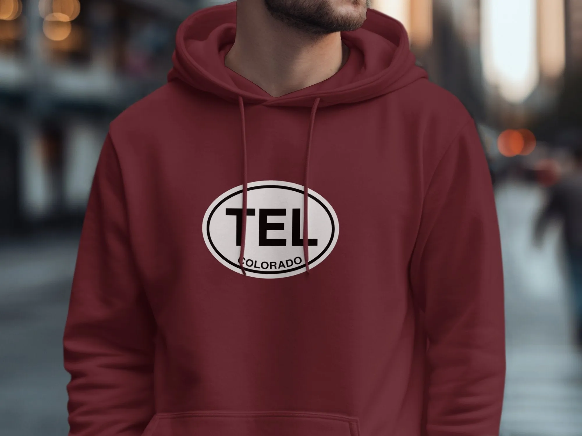Telluride Mens Hoodie - Warm Gear for Colorado Mountain Fans